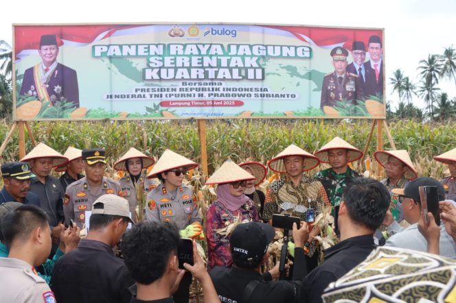 
 Sinergi TNI-Polri dan Petani di Lampung Timur: Panen Raya Jagung Serentak Dukung Swasembada Pangan 2025