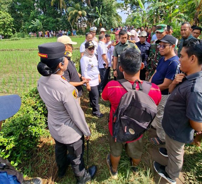 
 Gajah Liar Masuk Perkebunan, Bupati Lampung Timur Turun Tangan dan Beri Solusi