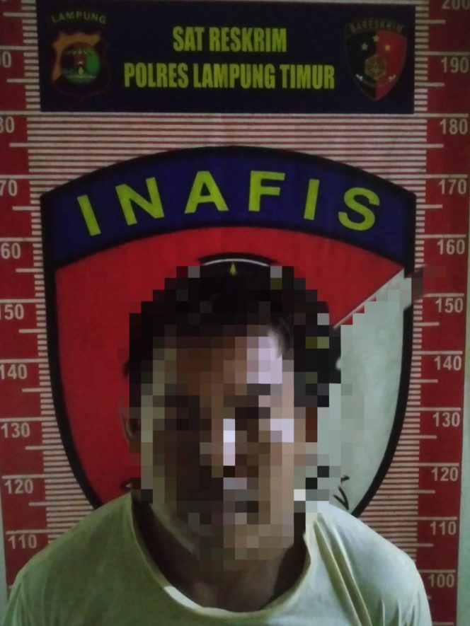 
 Polres Lampung Timur Ringkus Pelaku Curas, Satu Komplotan Masih Buron